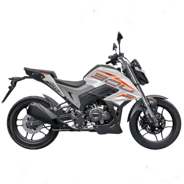 Мотоцикл ATAKI Batllo (4T PR300 Pro) 17/17 2026 белый
